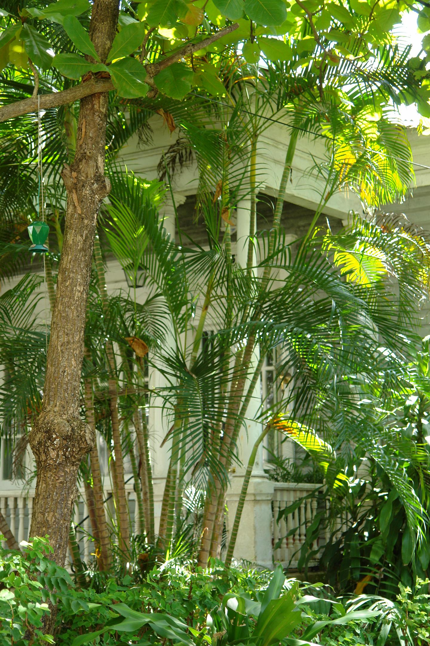 Casa en la calle Estado 657 - San Juan (Miramar) - 2011 00010